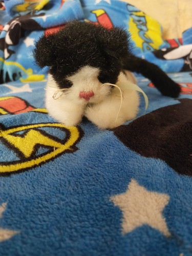 Beanie attic treasures - ty,