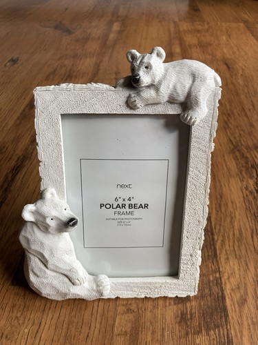 Next home polar bear photo - polar,