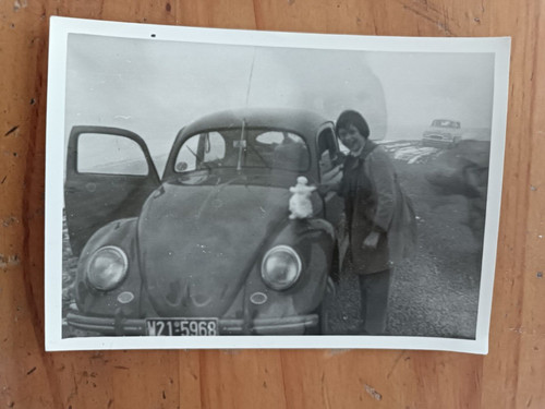 Photo beetle car vintage - photo, vw