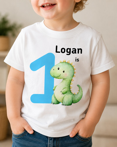 1st birthday outfit boy - birthday, girl