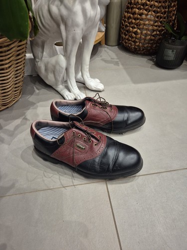 Footjoy dryjoys black burgundy - footjoy,