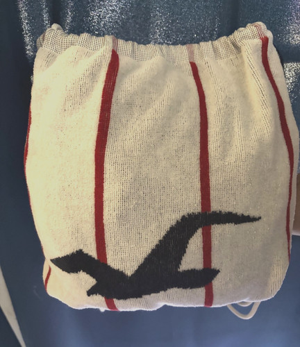 Back pack bag hollister - bag,