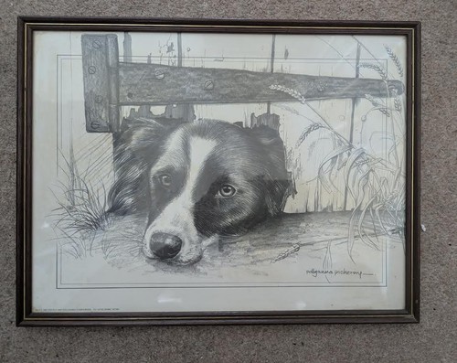 Pollyanna pickering - pollyanna,