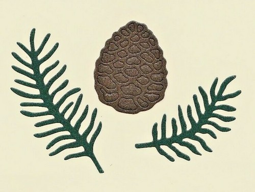 Sets large pine - of, cones