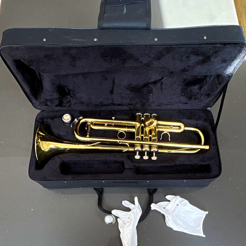 Eking beginner trumpet gold - beginner,