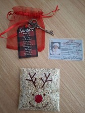 Christmas Eve Magical Reindeer