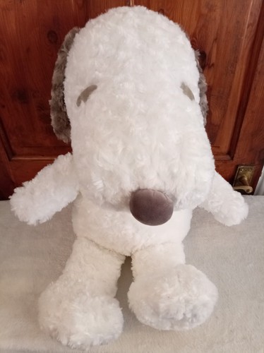 Peanuts snoopy dog - dog, with