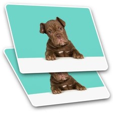 2 x Rectangle Stickers 10 cm - Cute Old English Bulldog Puppy Dog #21422