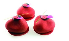 Silicone Mould For Cake Decorating Pavoni px4301 zen Wax etc.