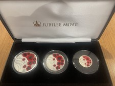 The 2019 Remembrance Day Solid