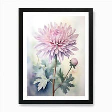 Watercolor Chrysanthemum