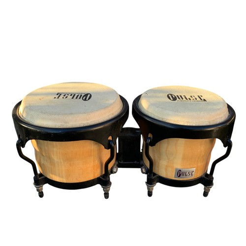 Pulse percussion bongo drums - percussion,