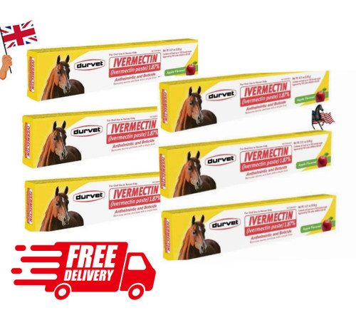 Pack horse apples flavored - pack,