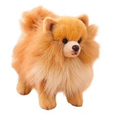 Realistic Pomeranian Plush Toy