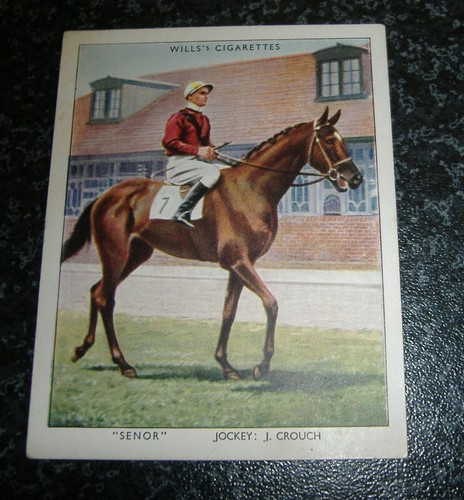 Wills racehorses - racehorses, &