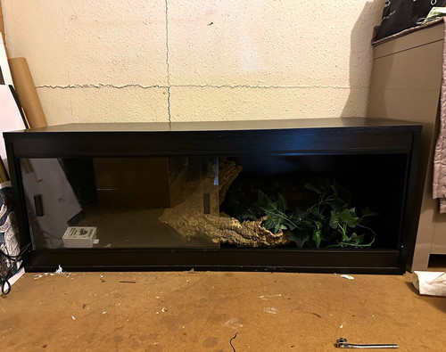 4ft reptile vivarium with - reptile,