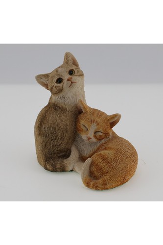 Sherratt simpson cat - &,