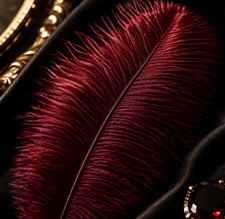 Luxury deep red ostrich - x5,