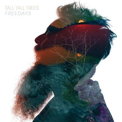 Tall trees - tall, trees: