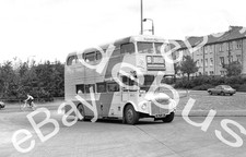 Bus Negative & Copyright