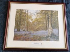 Vantage English Bluebell woodland Nature print 