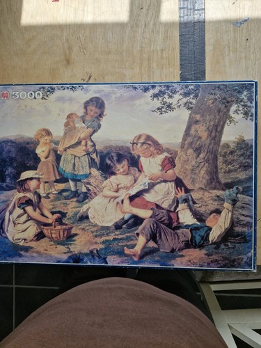 3000 piece jigsaw - jumbo, "the