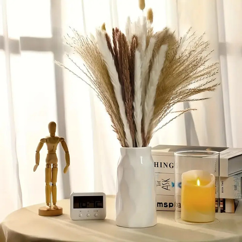 Dried pampas grass fluffy - grass,