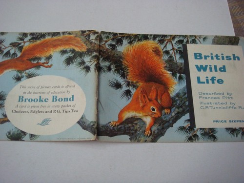 British wild life brooke - british,