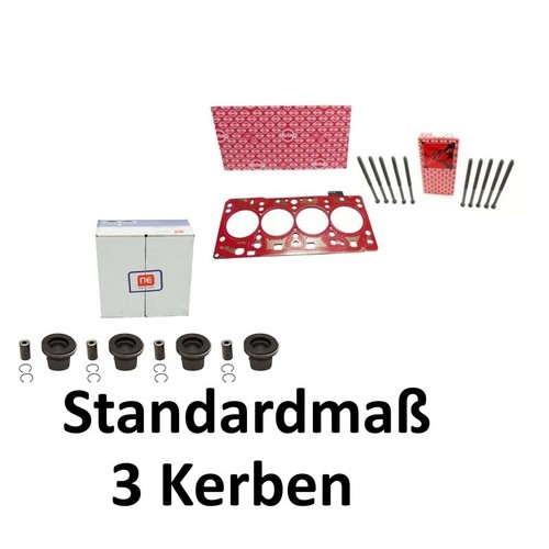 Pistons standard dimension - standard,