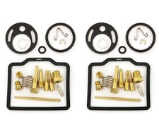 Carburetor Rebuild Kits 2 Pack