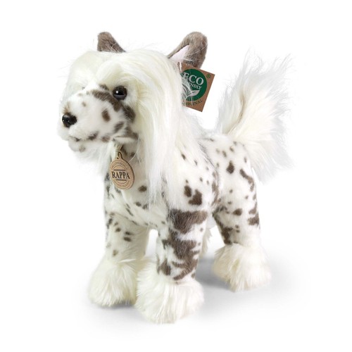 Rappa 230798 chinese crested - rappa,