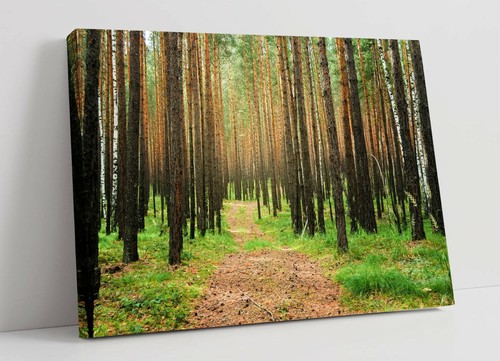 Forest canvas wall art float - 1,