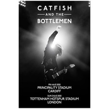 Catfish And The Bottlemen UK