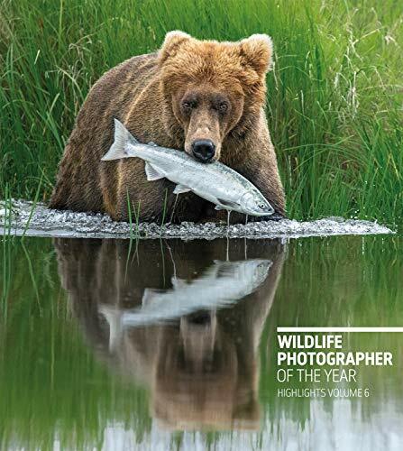 Wildlife photographer the - photographer, of