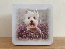 Campbell Collection Empty