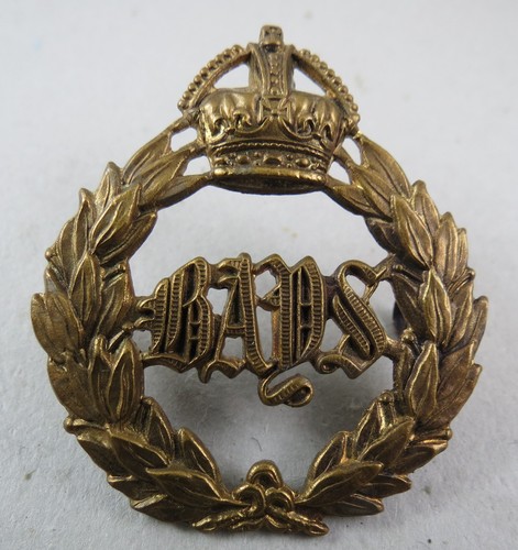 Military badge the queen - military,