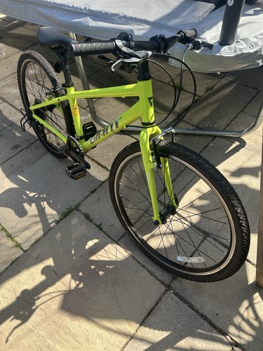Giant kids mountain bike a - kids',
