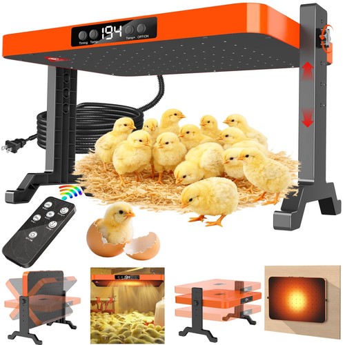 Chicken brooder heater 200 - chicken,