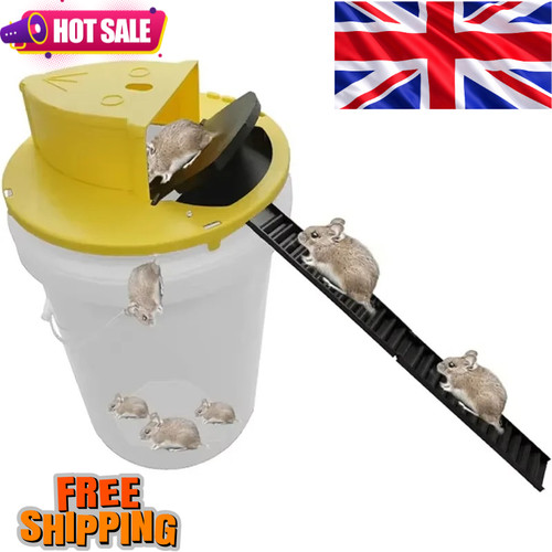 Mouse trap bucket lid - trap,