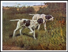 POINTER DOGS AT WORK DOG ART