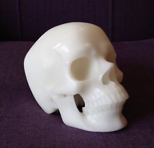 Large 3.4kg 6.9" Hand Carved White Jade Super Realistic Skull by Skullis