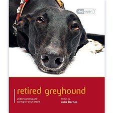 Greyhound dog expert julia - greyhound:,