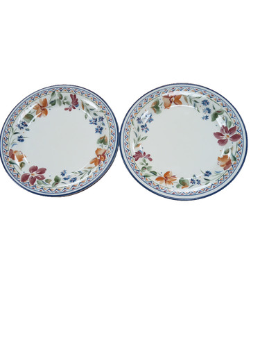 Staffordshire tableware desert - tableware,