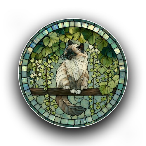 Snowshoe cat spring - cat,