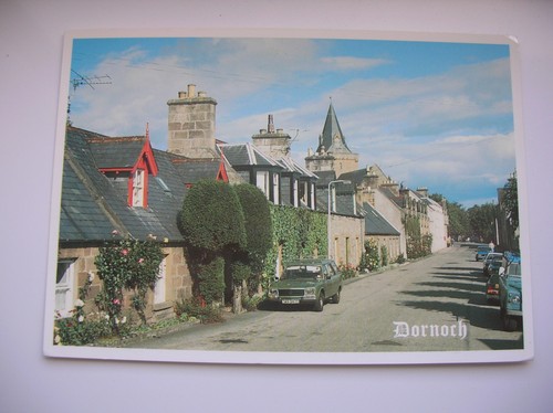 Dornoch gilbert - dornoch,