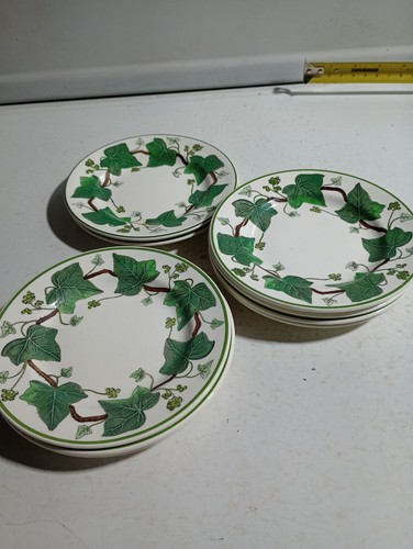 Wedgewood napoleon ivy 5 - wedgewood,