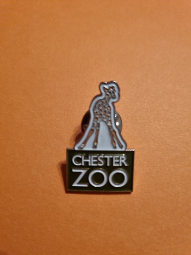 Chester zoo pin badge - chester, giraffe