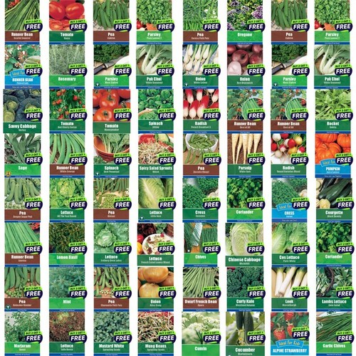 Vegetable seeds herb - herb,