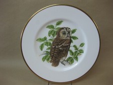 Coalport British Birds The Tawny Owl Bone China Plate Limited Edition ~ 10 1/2"