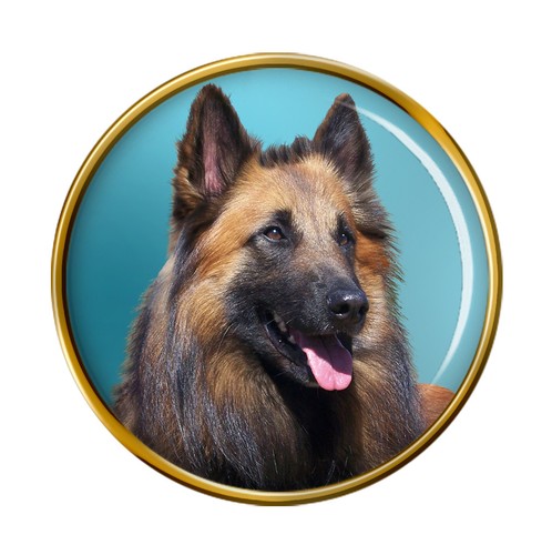 Belgian shepherd dog - belgian,